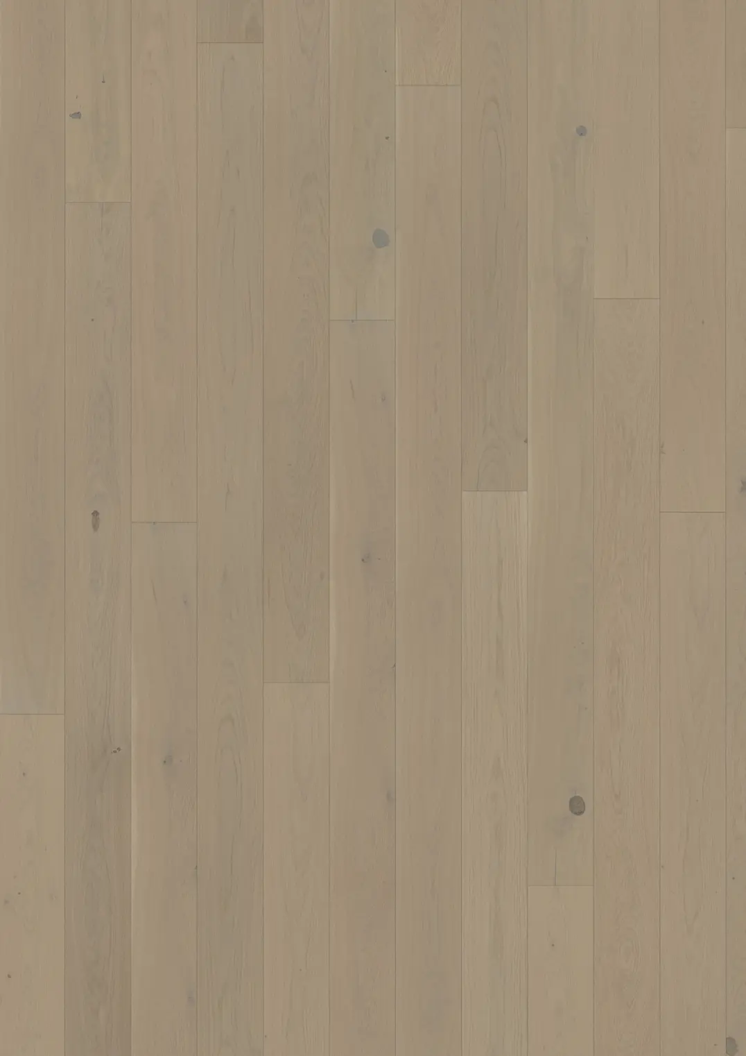 OAK CRAYON