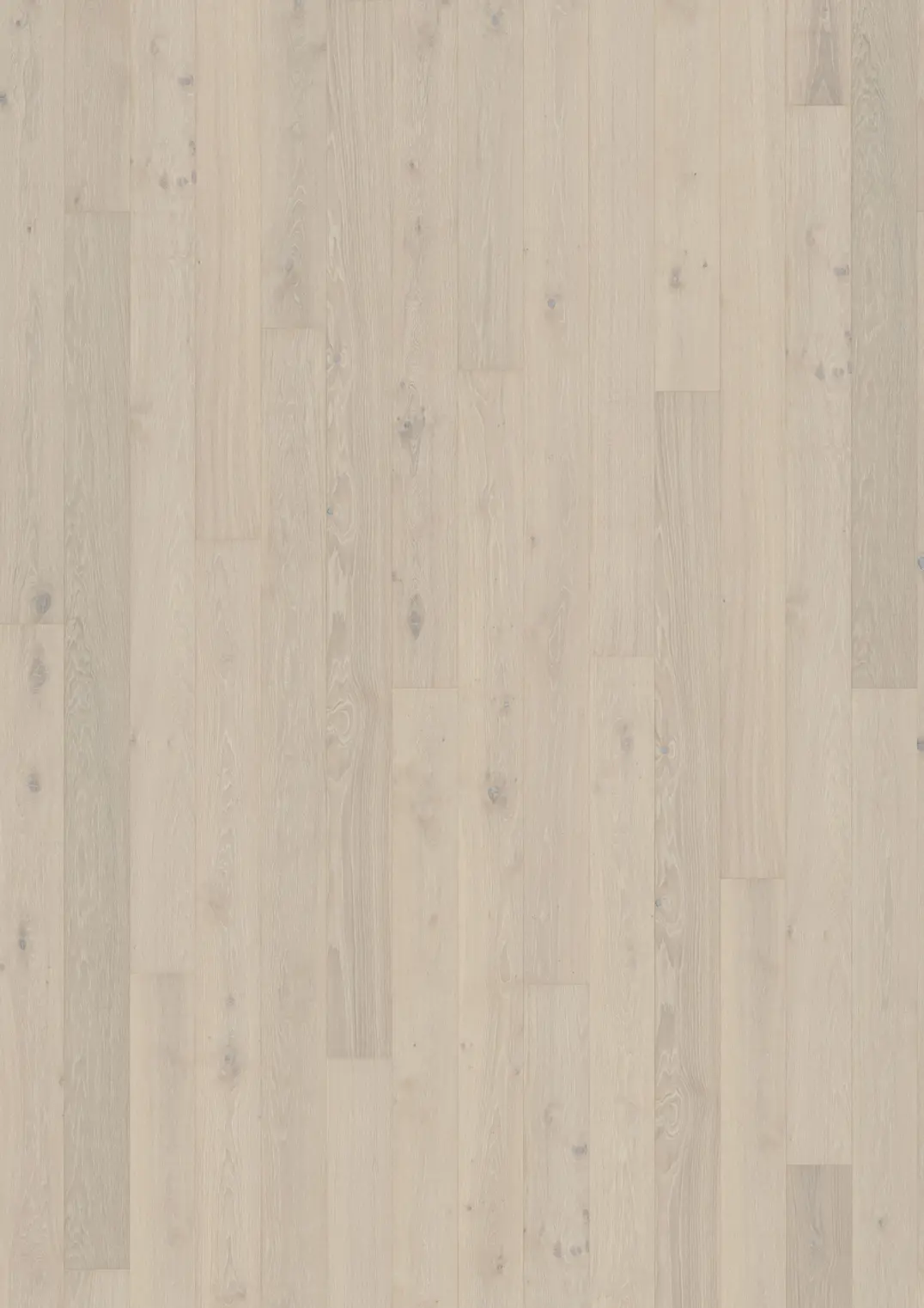 OAK CRISP