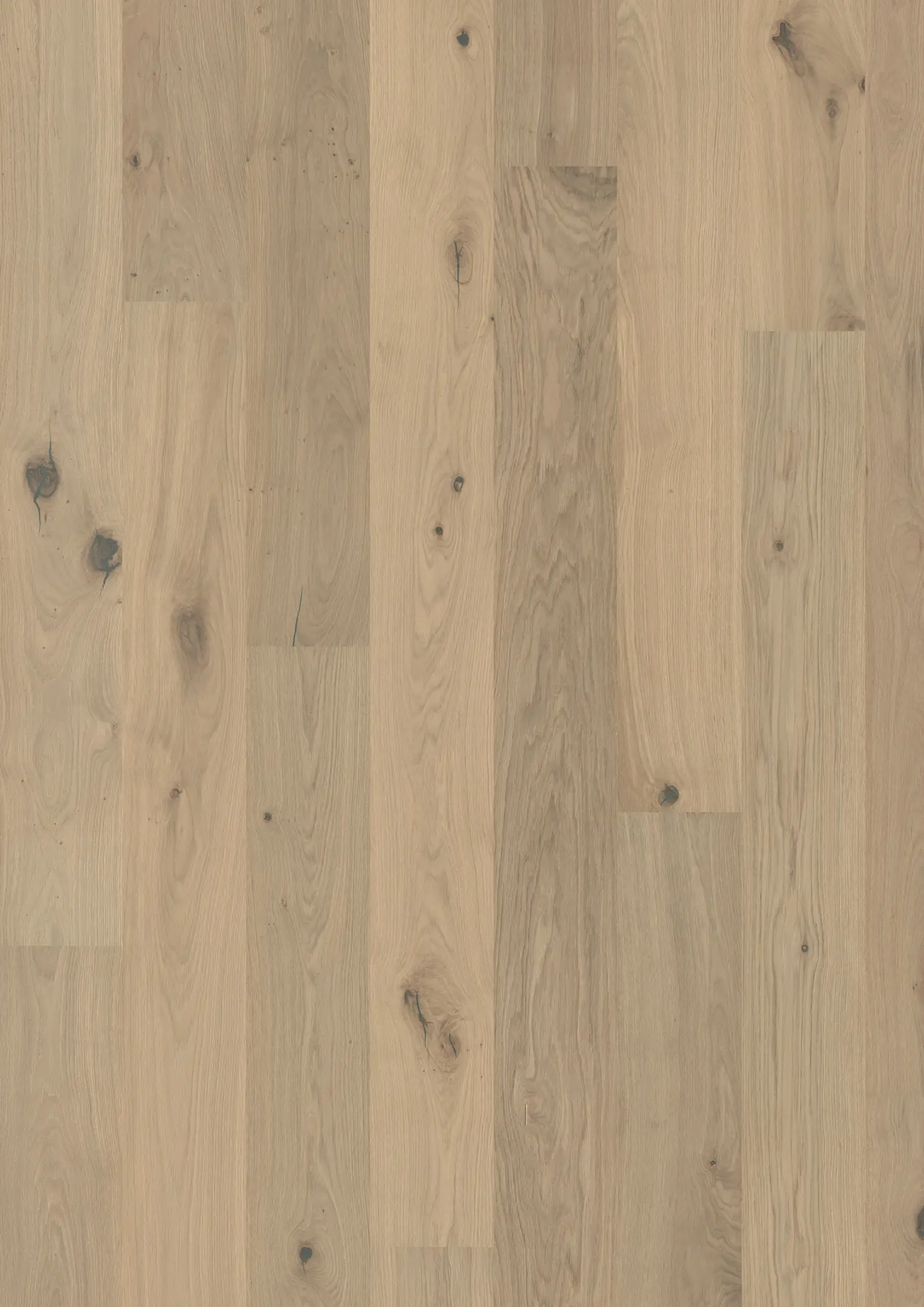 OAK EDELWEISS Floors Kährs