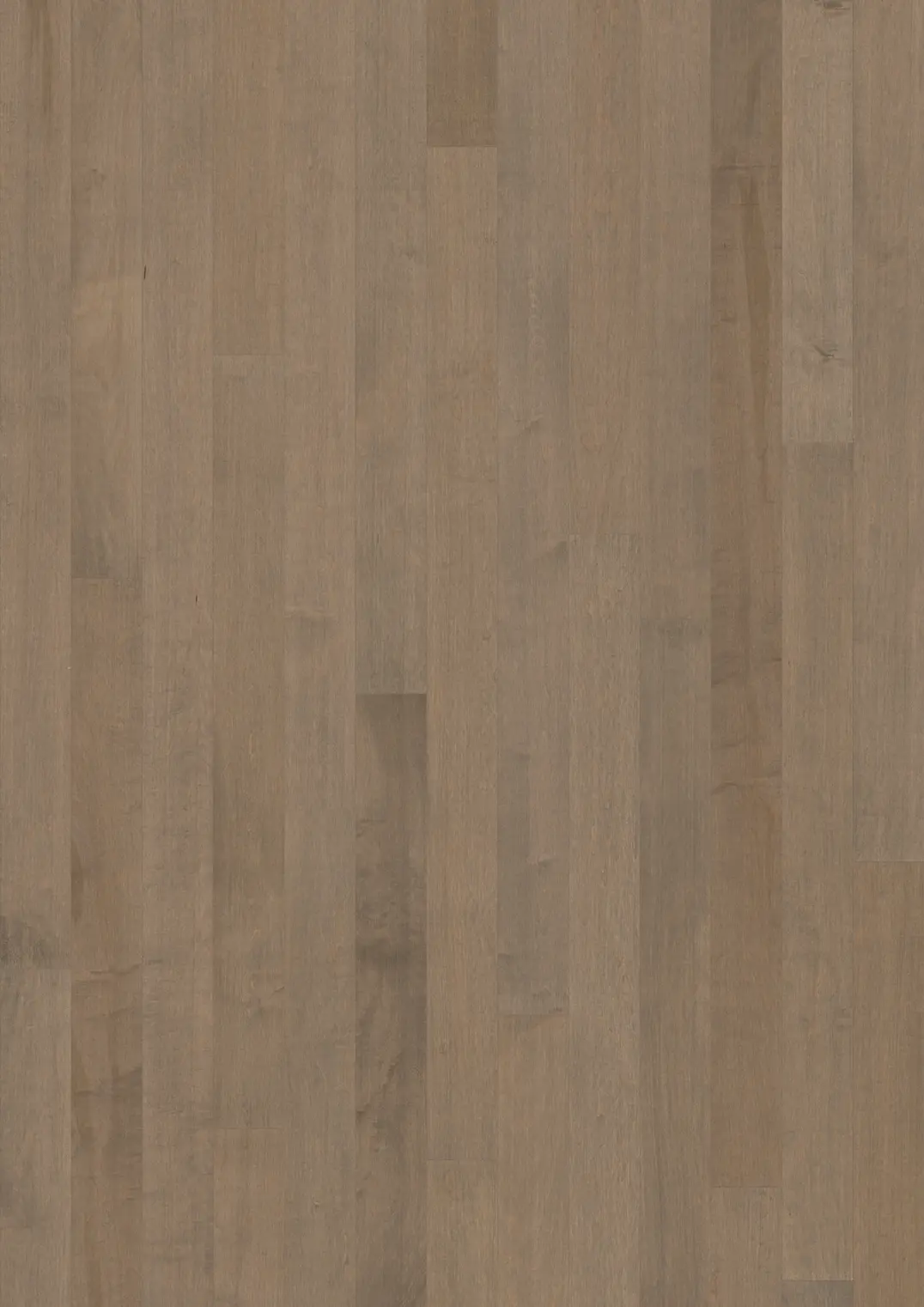 HARD MAPLE CRANE MATTE