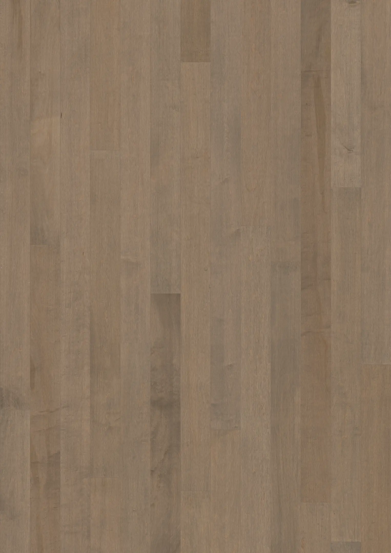 HARD MAPLE CRANE MATTE Floors Kährs