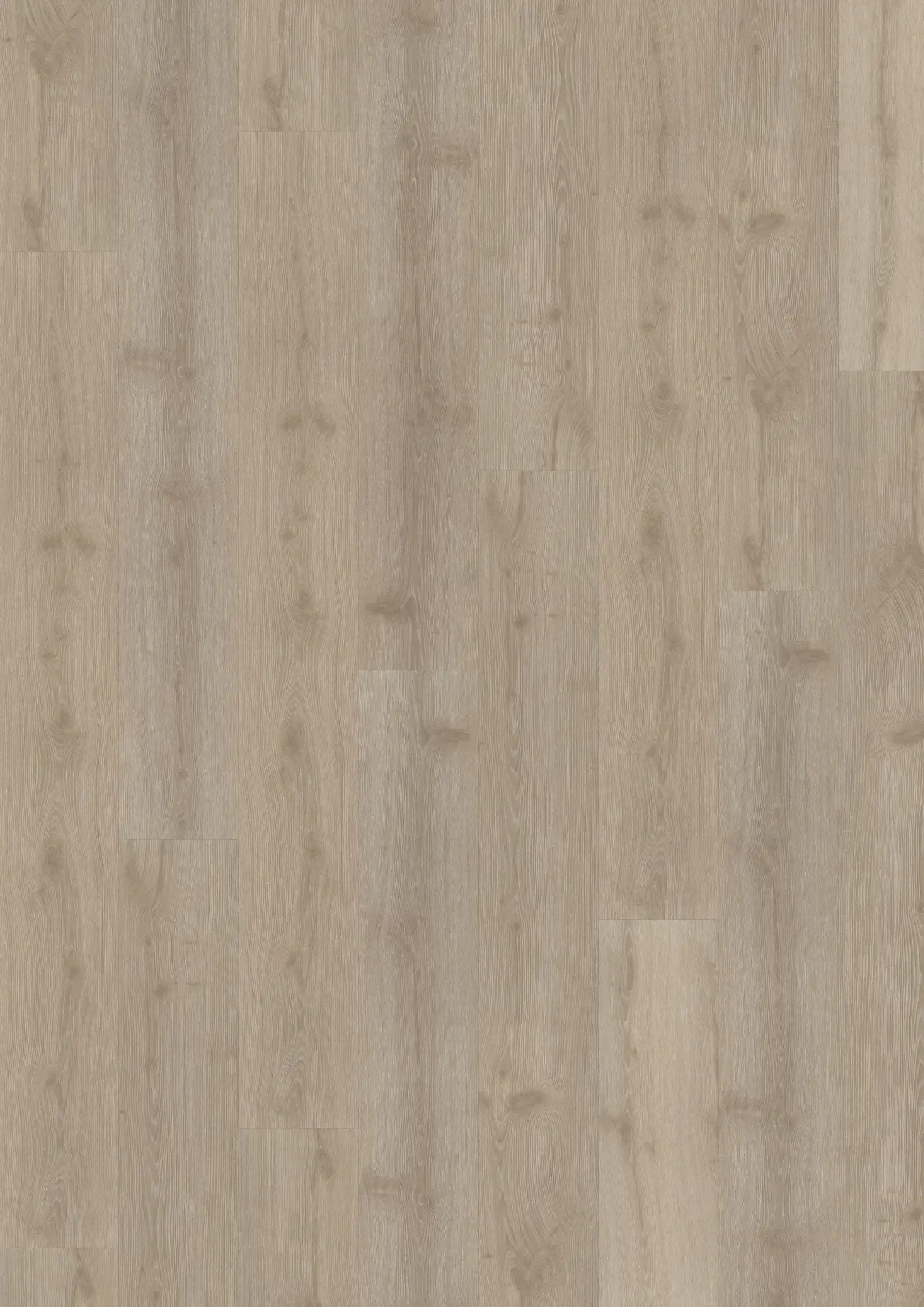 DOVECOT CLICK XXL Samples Kährs