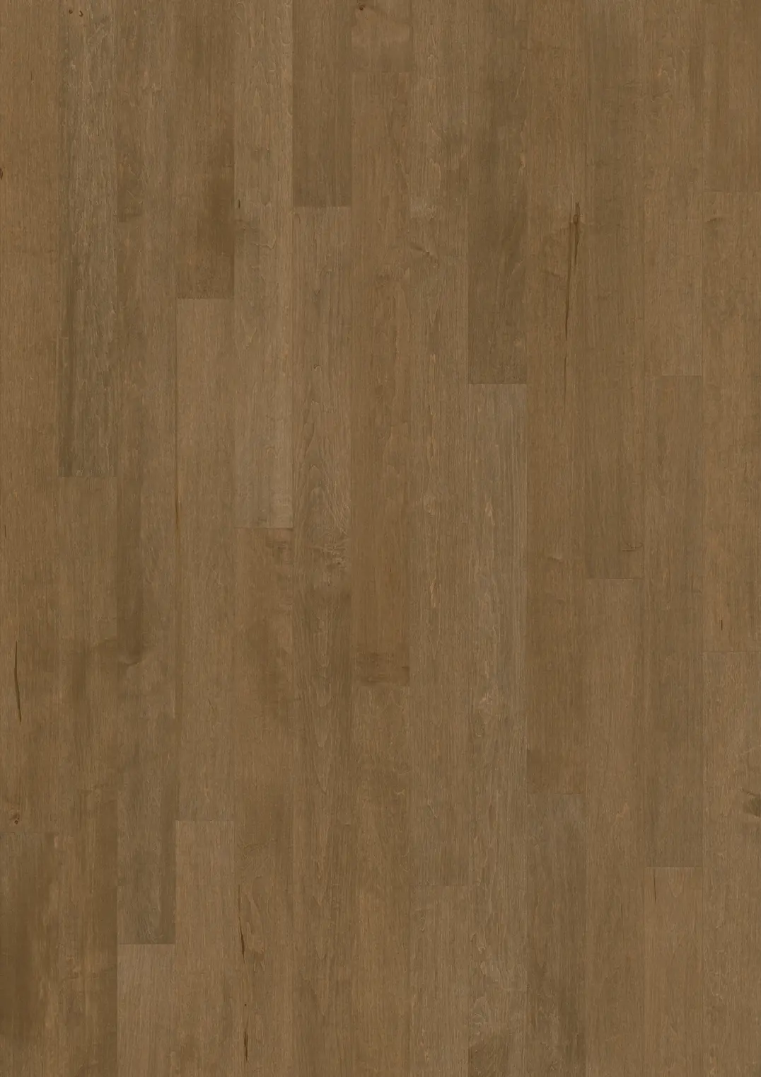 HARD MAPLE BISHOP MATTE