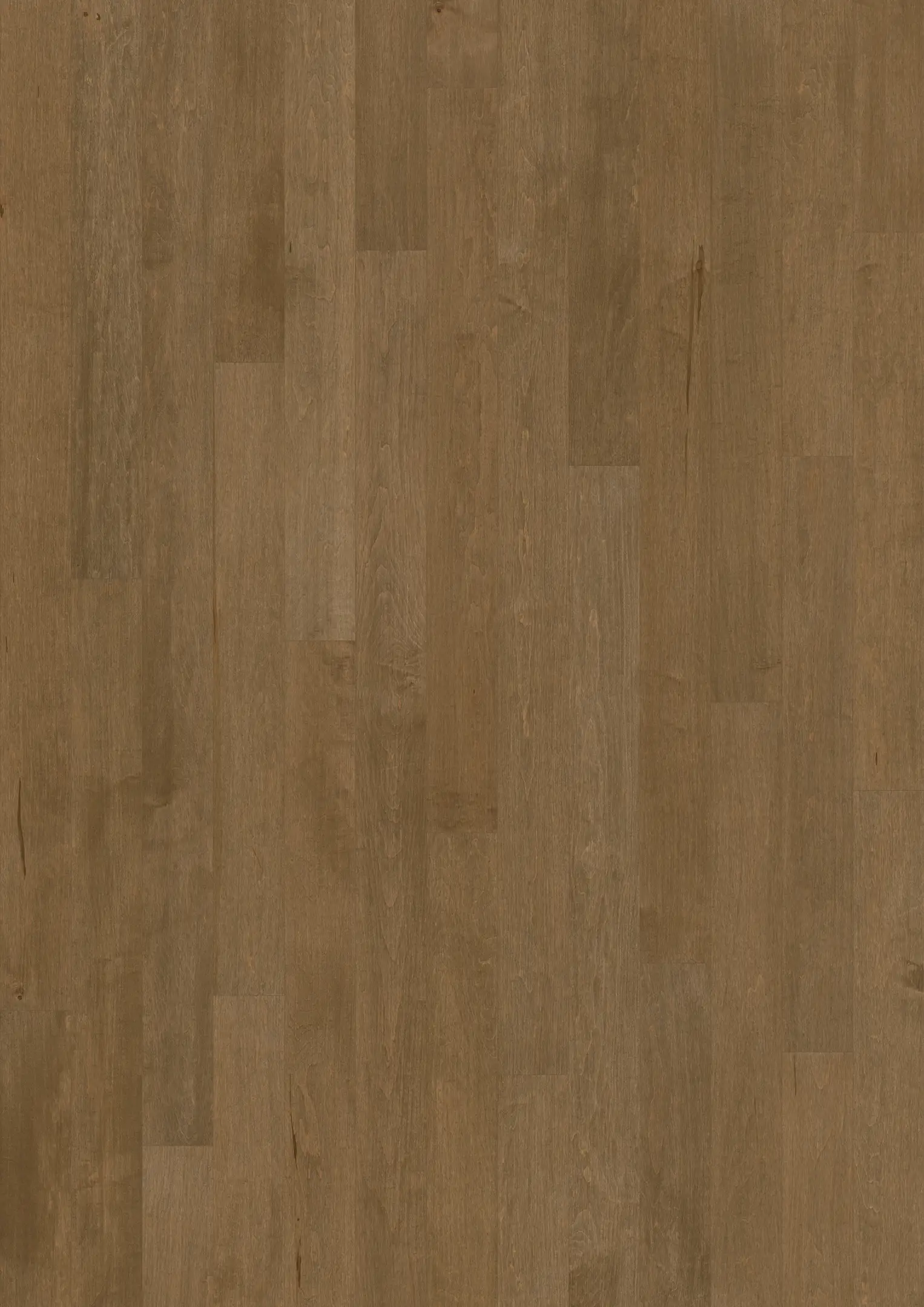 HARD MAPLE BISHOP MATTE Floors Kährs