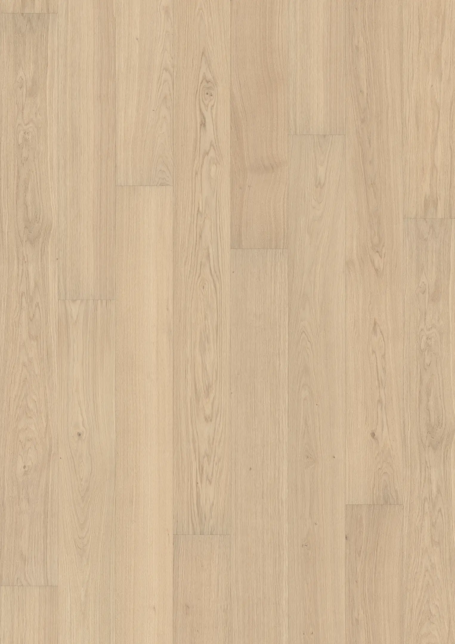 EICHE PIAZZA AB CREMEWEIß Alle Bodenbeläge Kährs