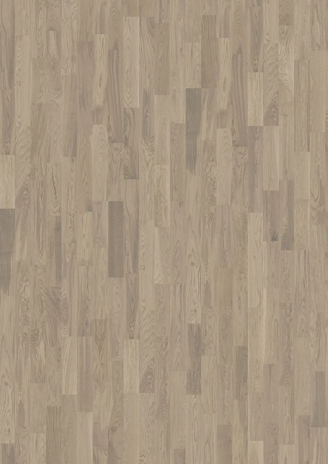 OAK DIM