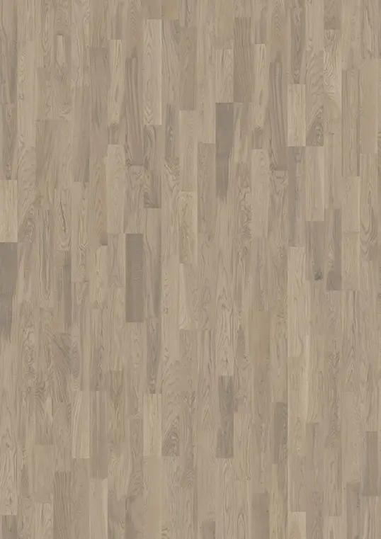 OAK DIM