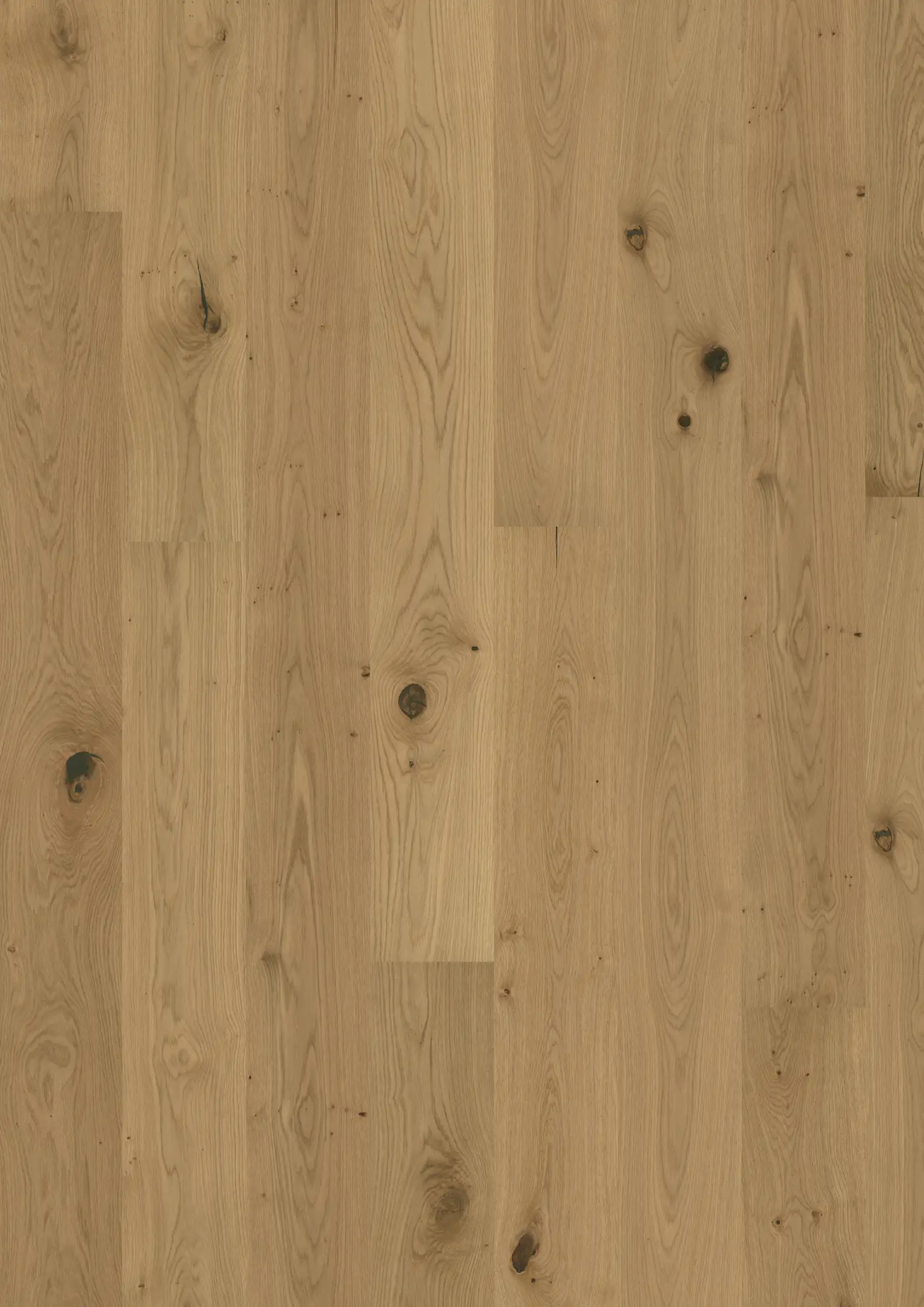 OAK ASTER OILED Floors Kährs