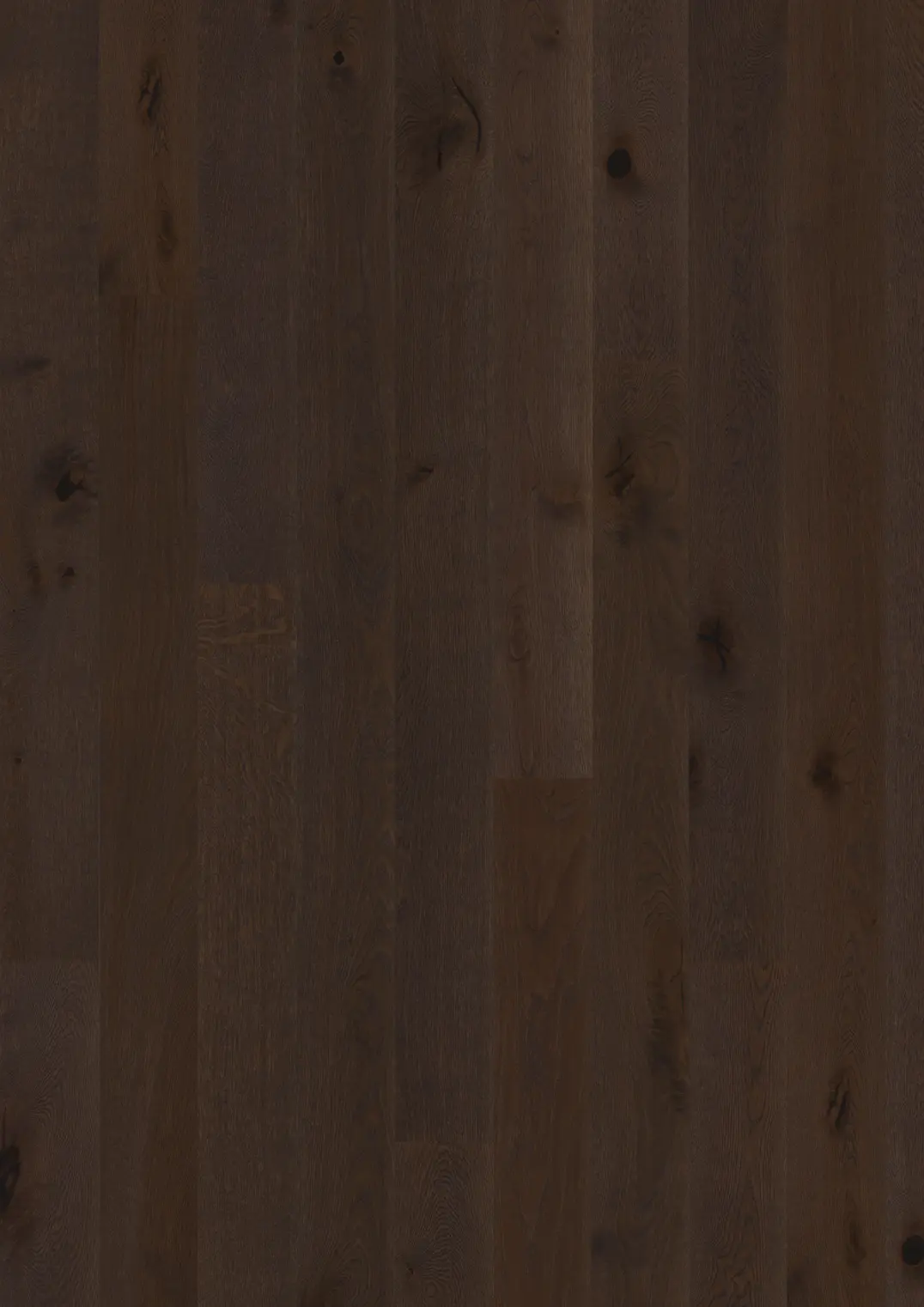 OAK RUSSET