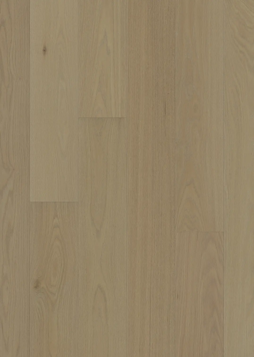 RED OAK LOVELL