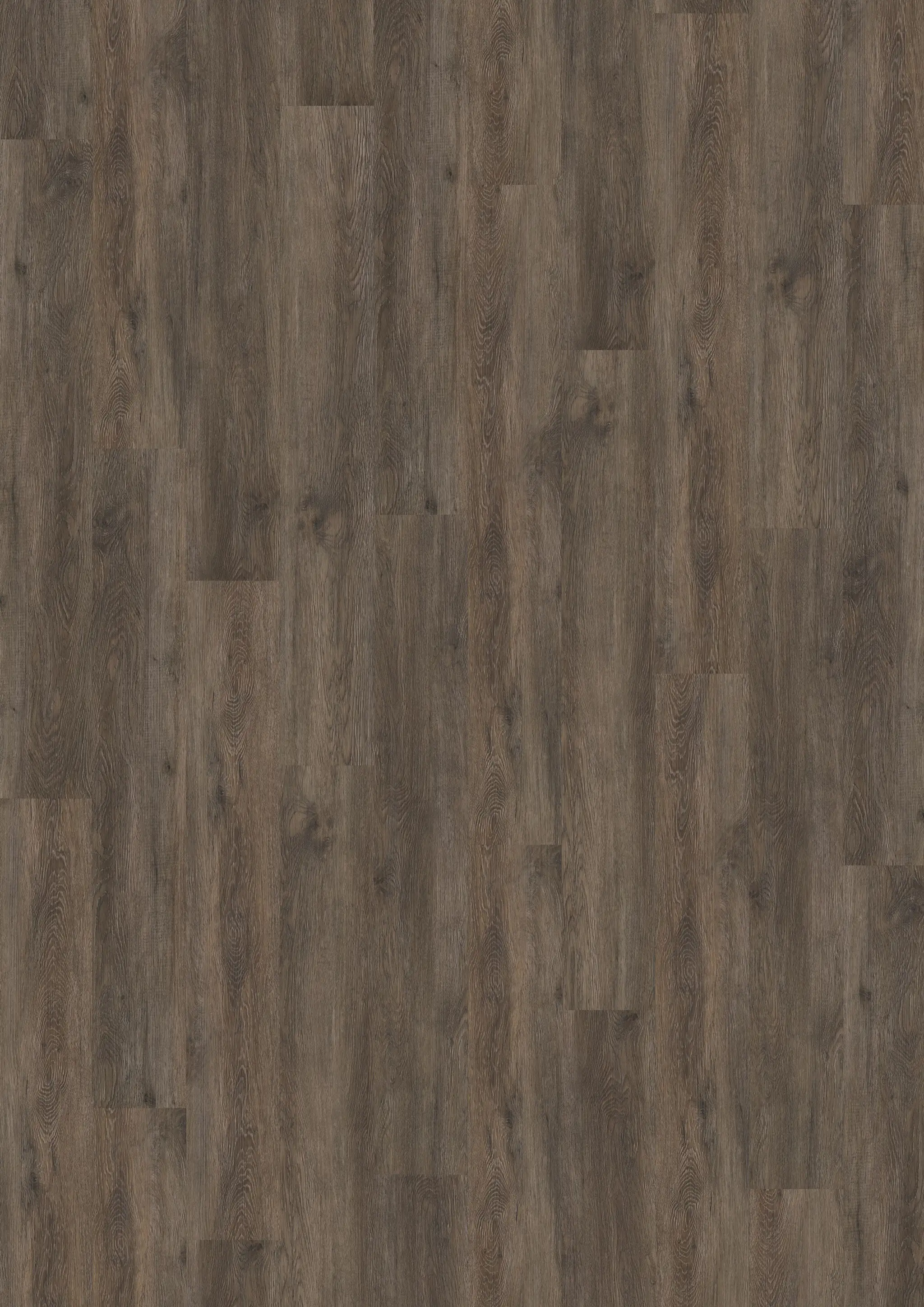 Missing translation Samples Kährs