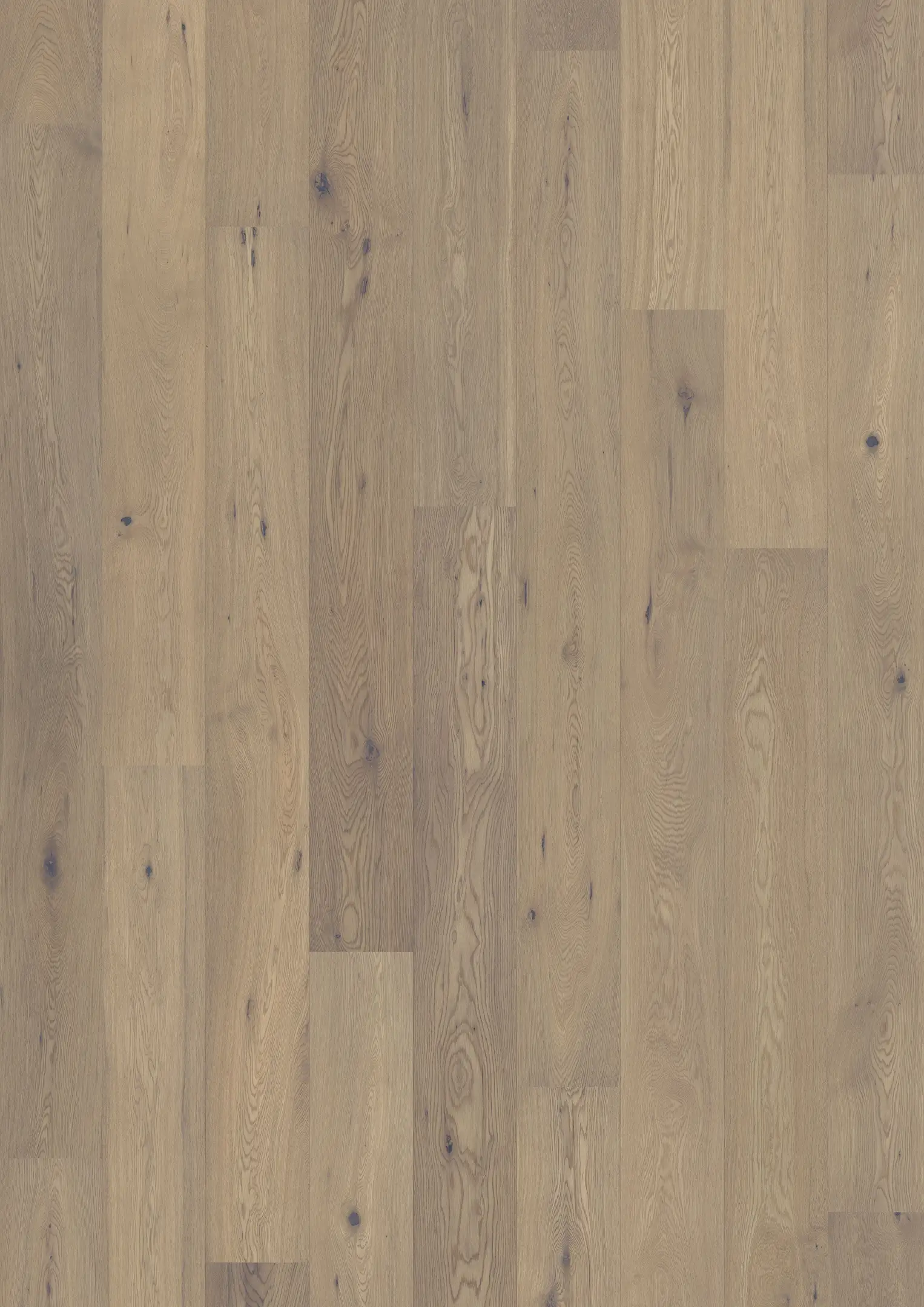 OAK 1-STRIP WHITE Floors Kährs