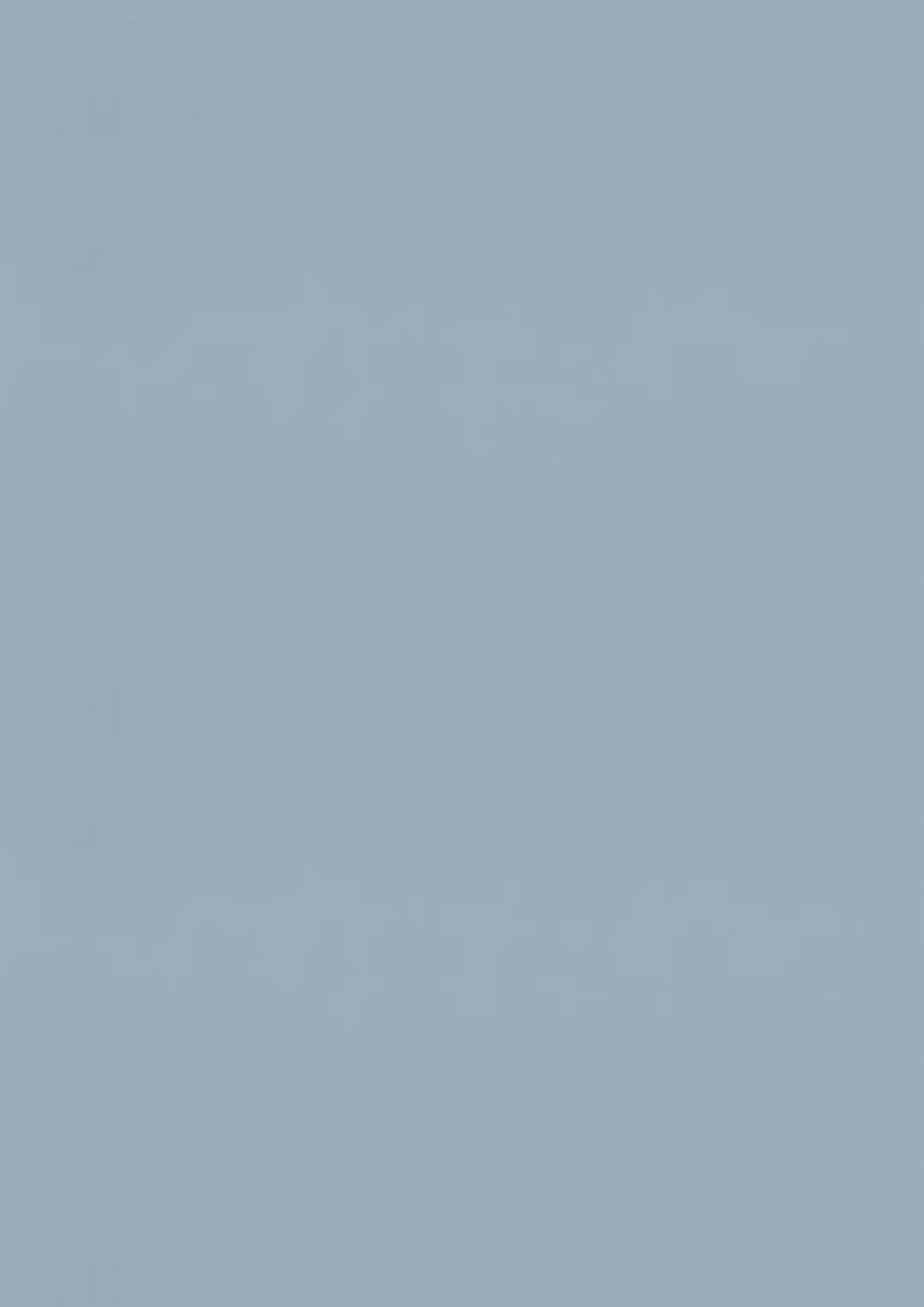 ESTRAD SAFETY R11/45 7765