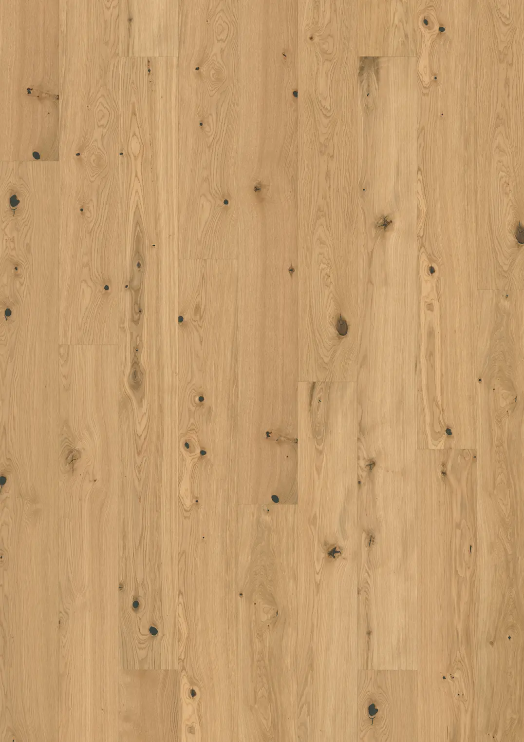 EK FENNEL PLANK