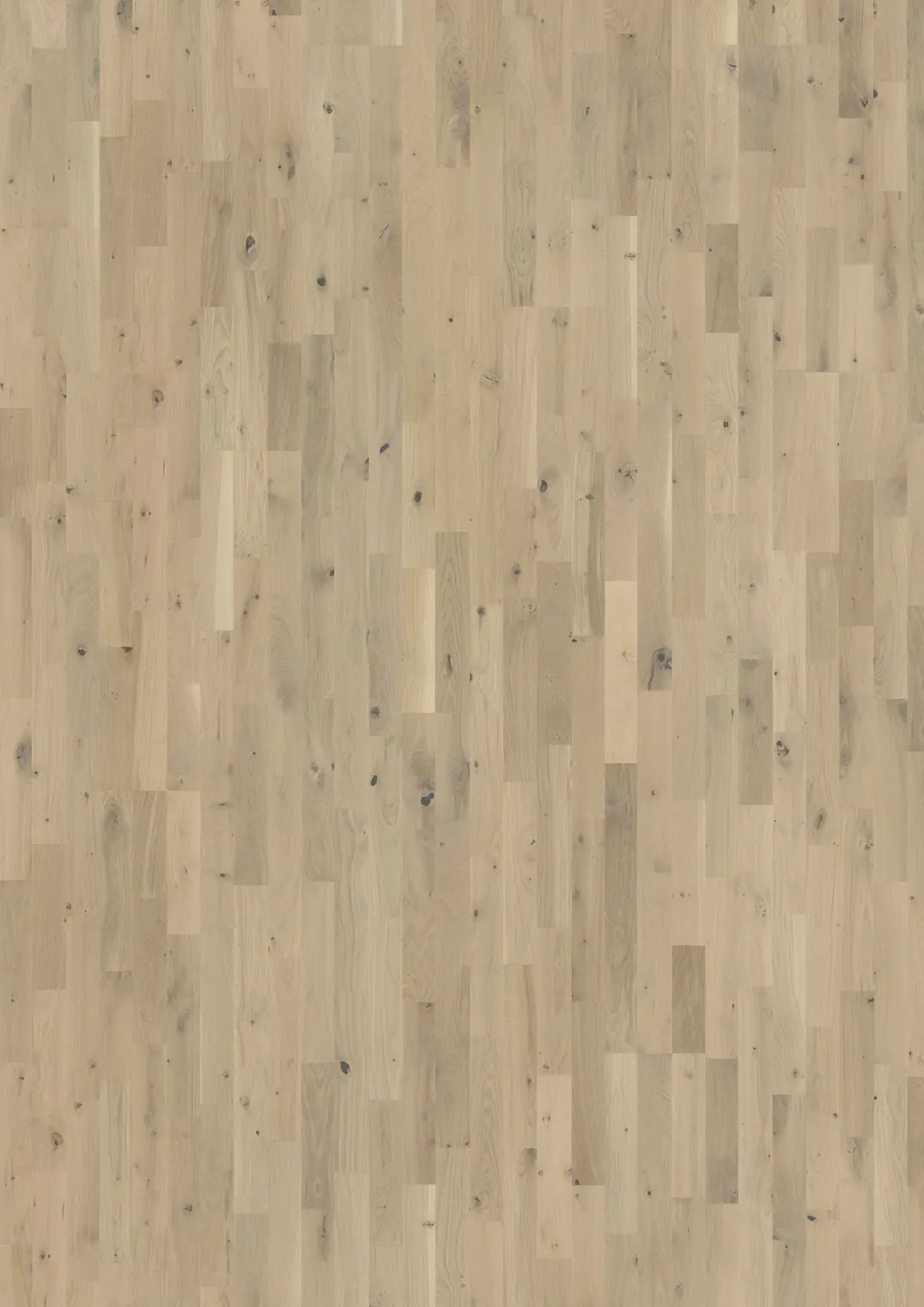 EICHE FROSTED OAT