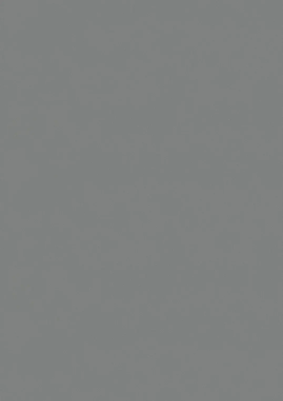 ESTRAD SAFETY R11/45 7757