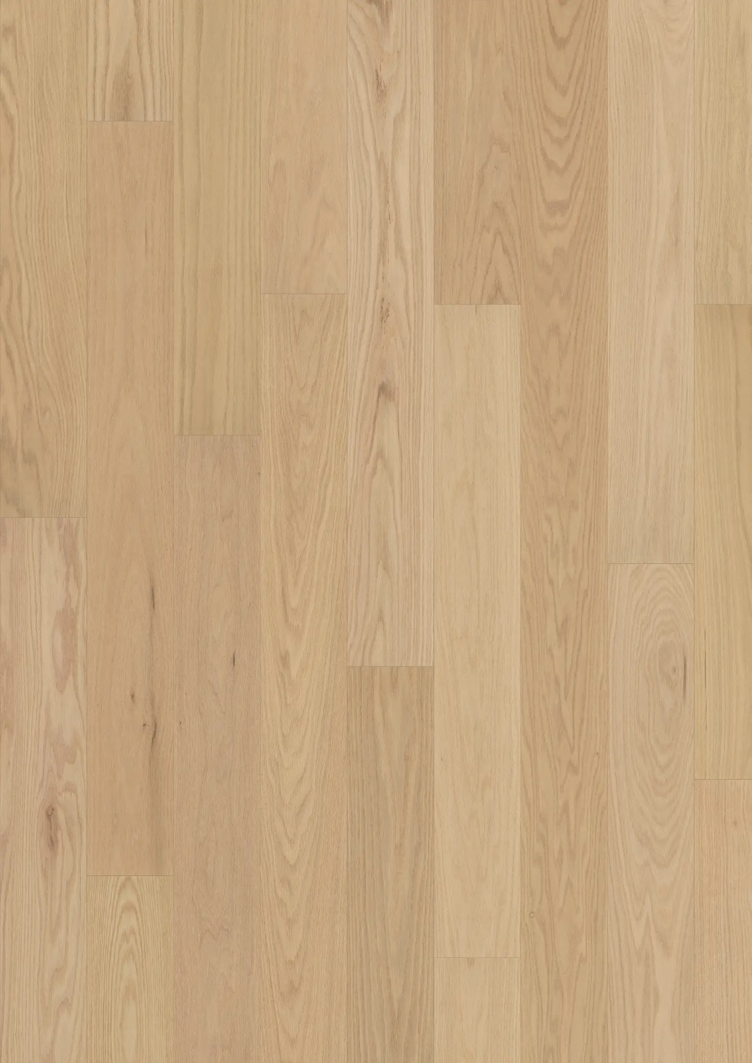 RED OAK VIZCAYA MATTE Floors Kährs
