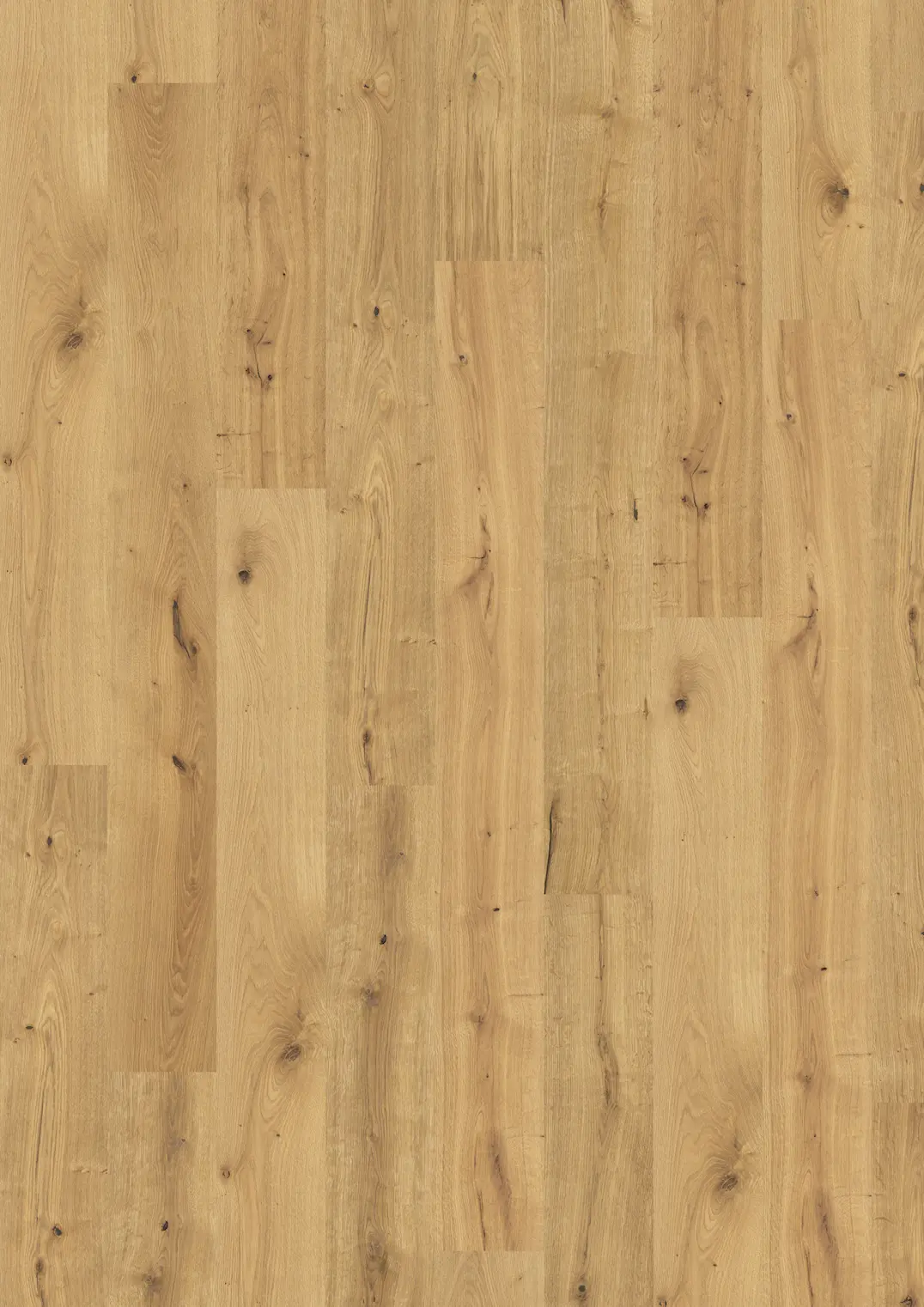 GRAND CANYON CLA 200