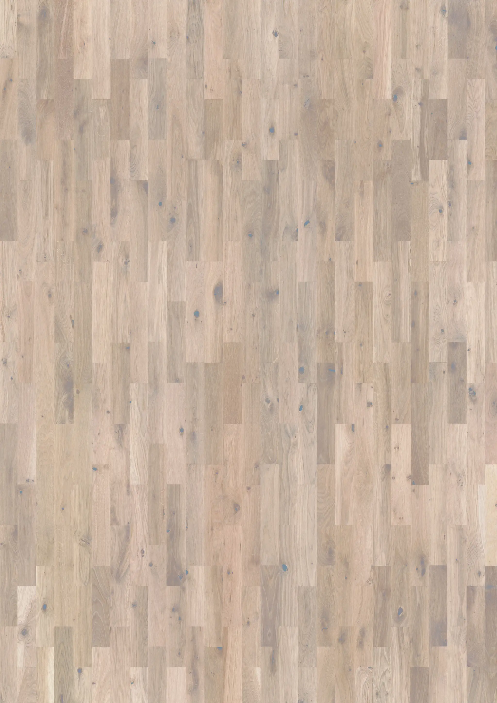 CLASSIC OAK GLACIER Samples Kährs