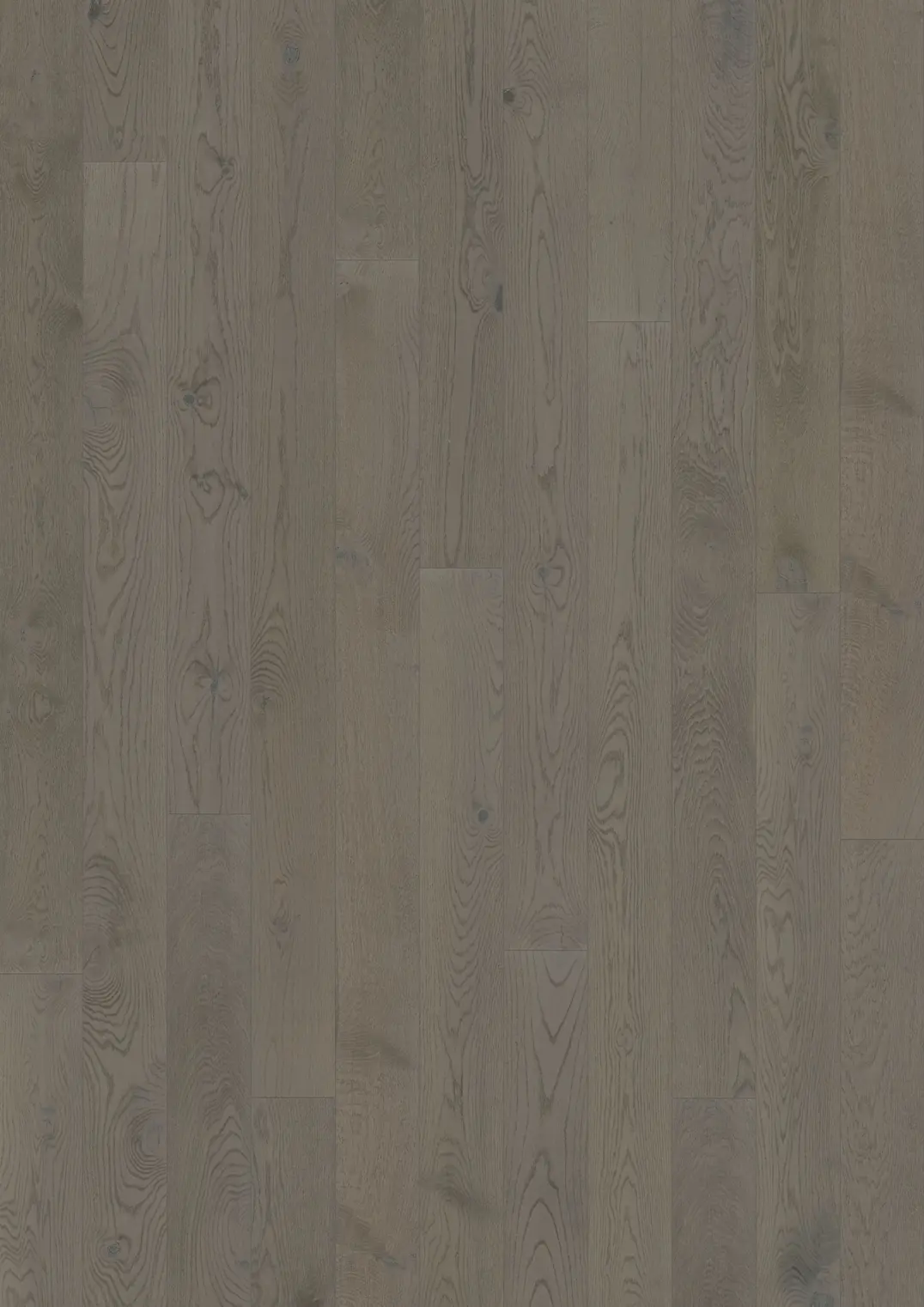 OAK CARBON MATTE