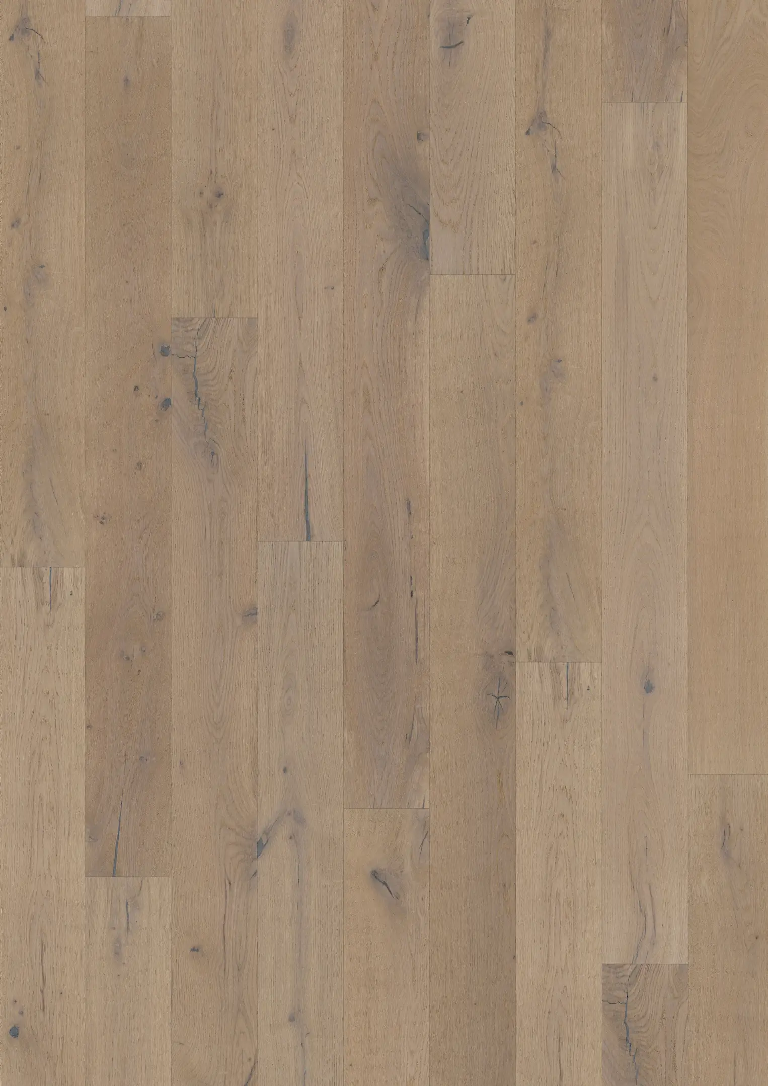 OAK CALCE Floors Kährs