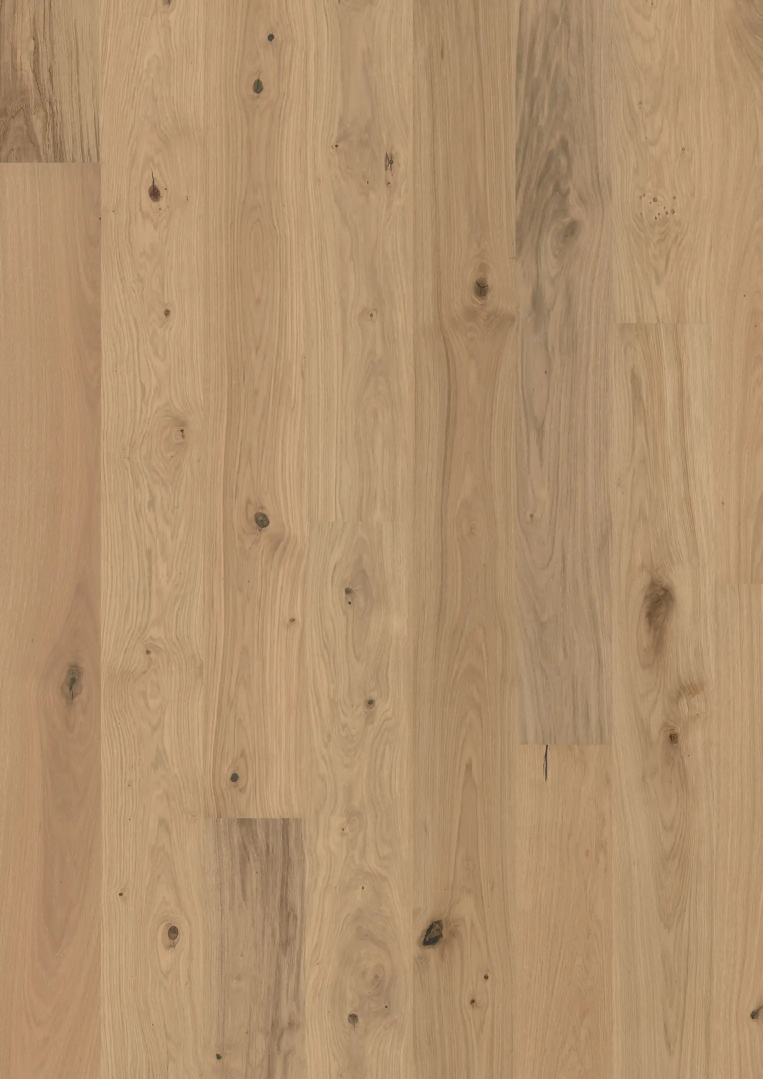 OAK GENTIAN Floors Kährs