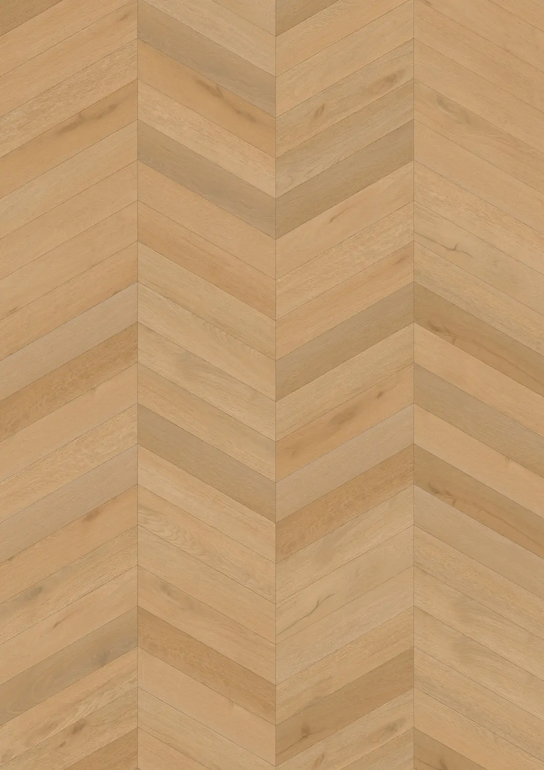 ILLUSION CLICK CHEVRON