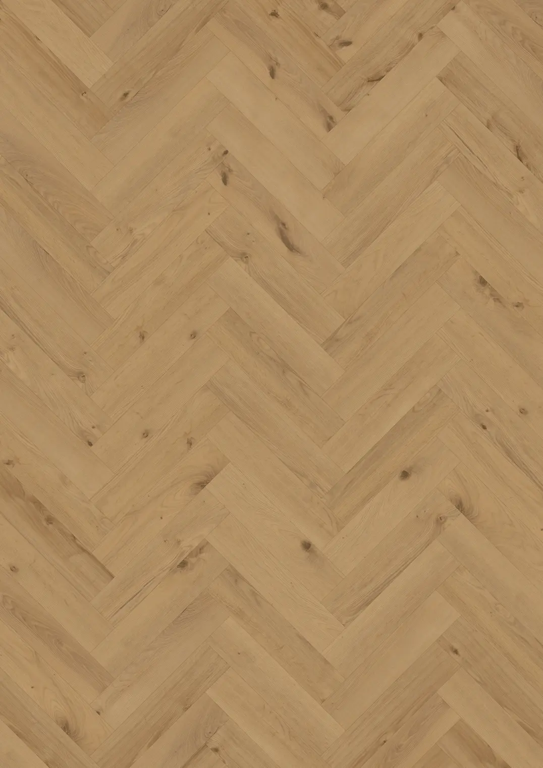 COCONINO DRY BACK FISKBEN