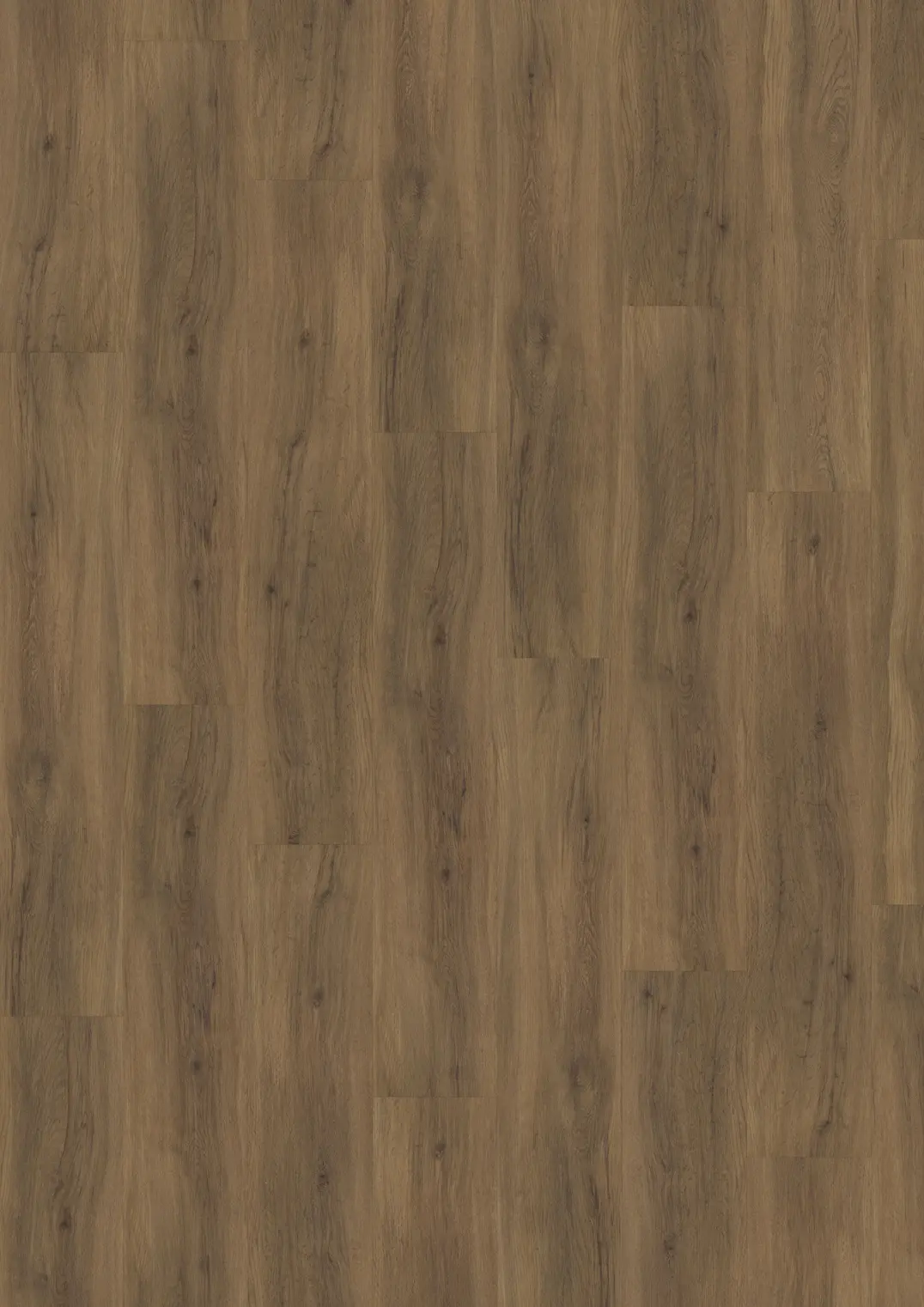 REDWOOD DRY BACK