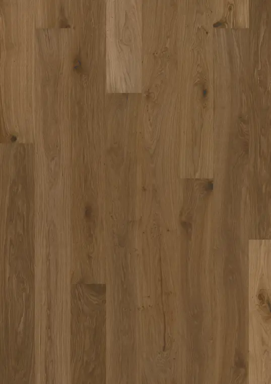 OAK ALP ROSE