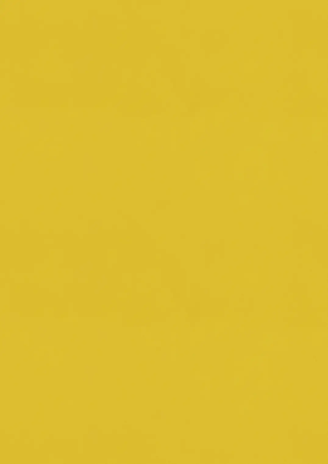 ESTRAD SAFETY R11/45 7755