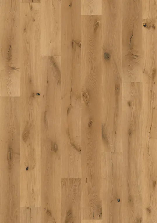 OAK EURUS