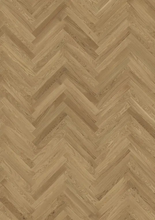 OAK STUDIO CD HB OILED