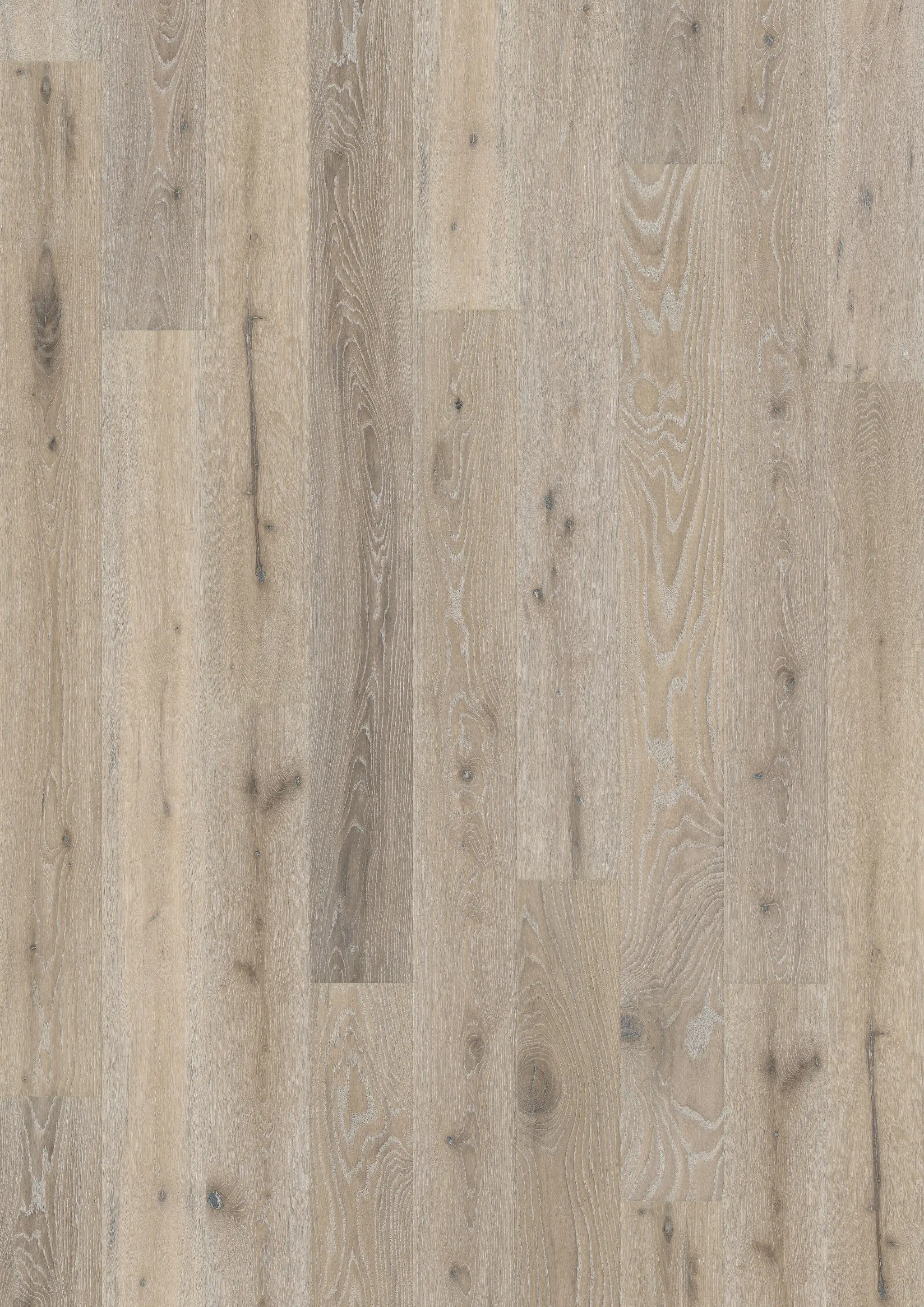 OAK OYSTER Samples Kährs