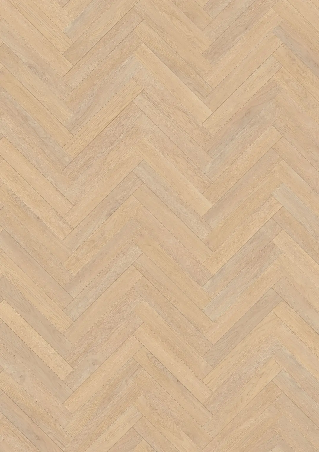 FUSION CLICK FISKEBEN