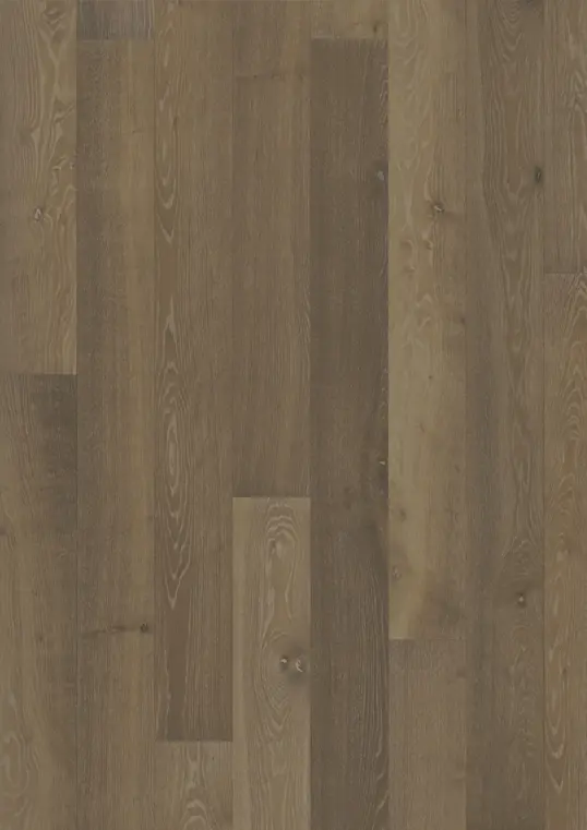 OAK NOUVEAU GREIGE