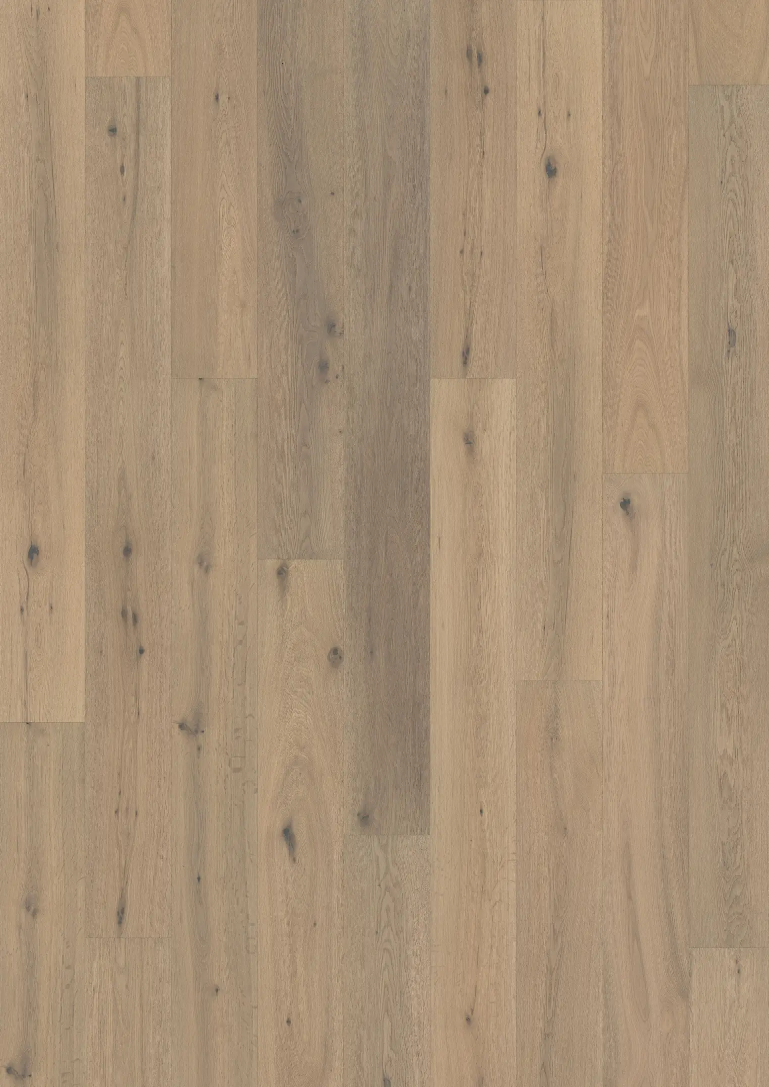OAK 1-STRIP WHITE Samples Kährs