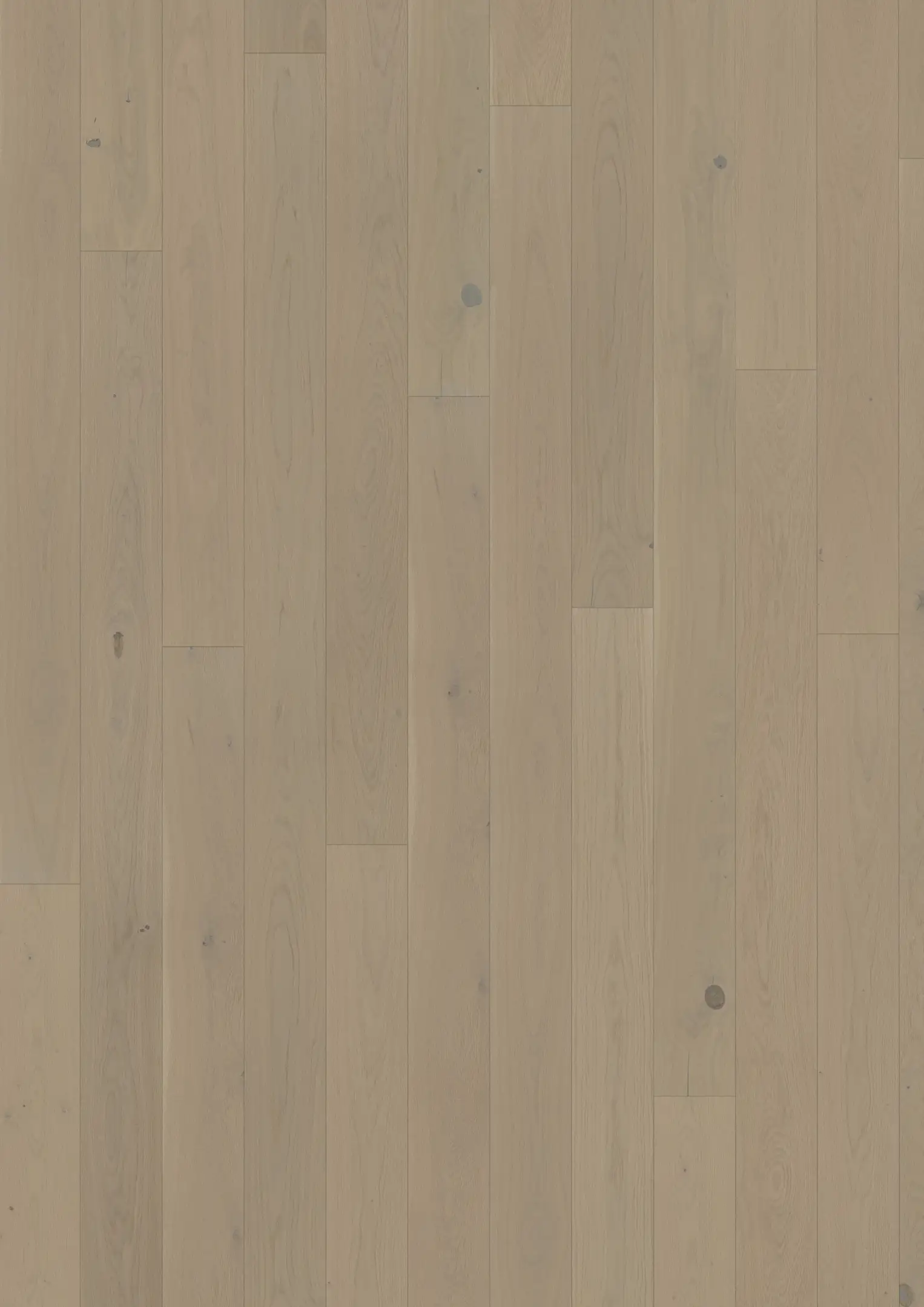 OAK CRAYON Floors Kährs