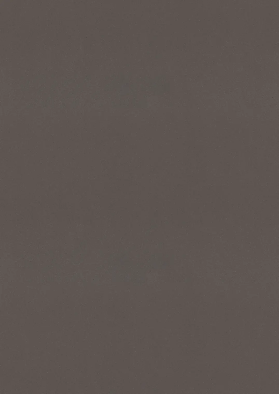ESTRAD SAFETY R11/45 7760