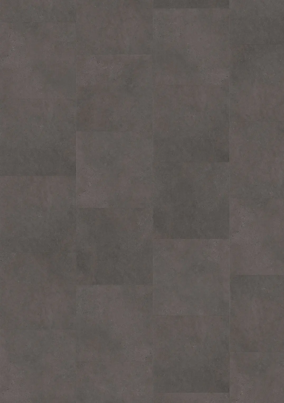 KILIMANJARO DRY BACK