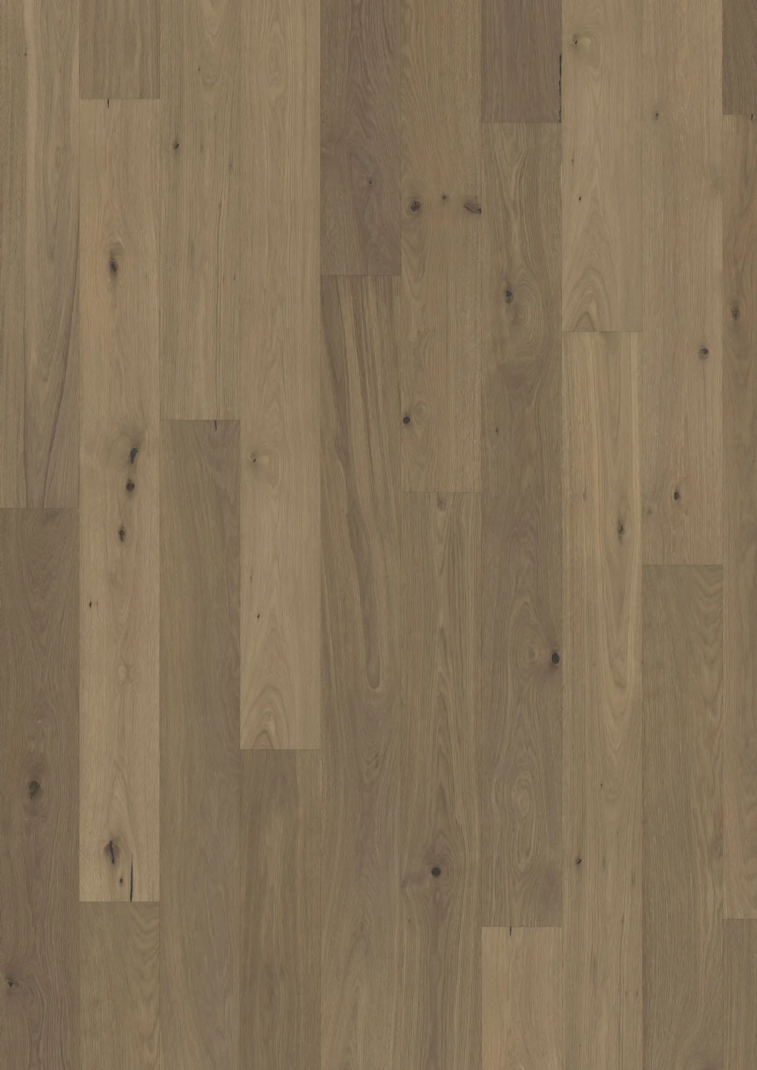 CHÊNE PIAZZA CD SMOKED GREY Sols bois Kährs