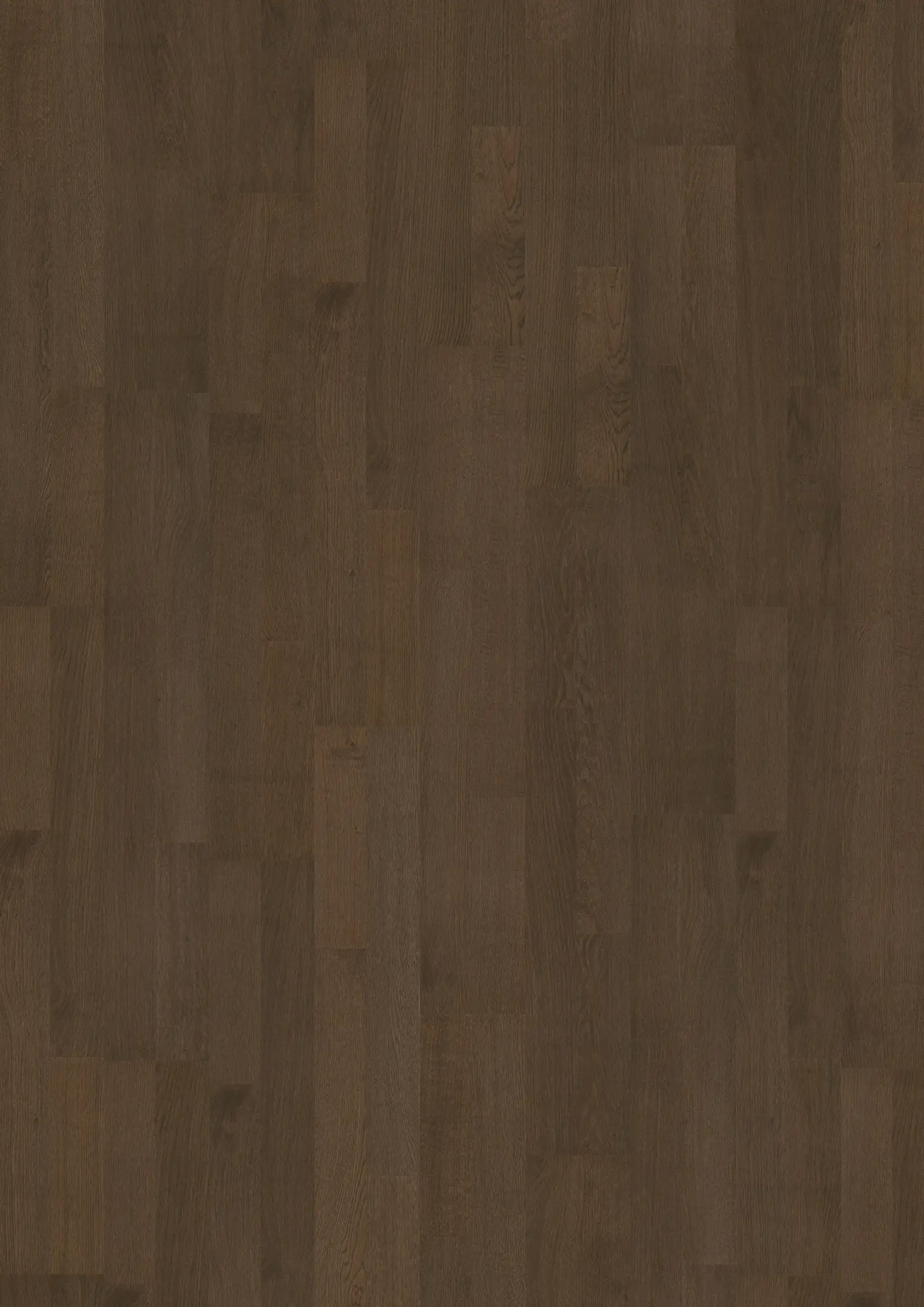 COCOA BEAN 2-STRIP Prover Kährs