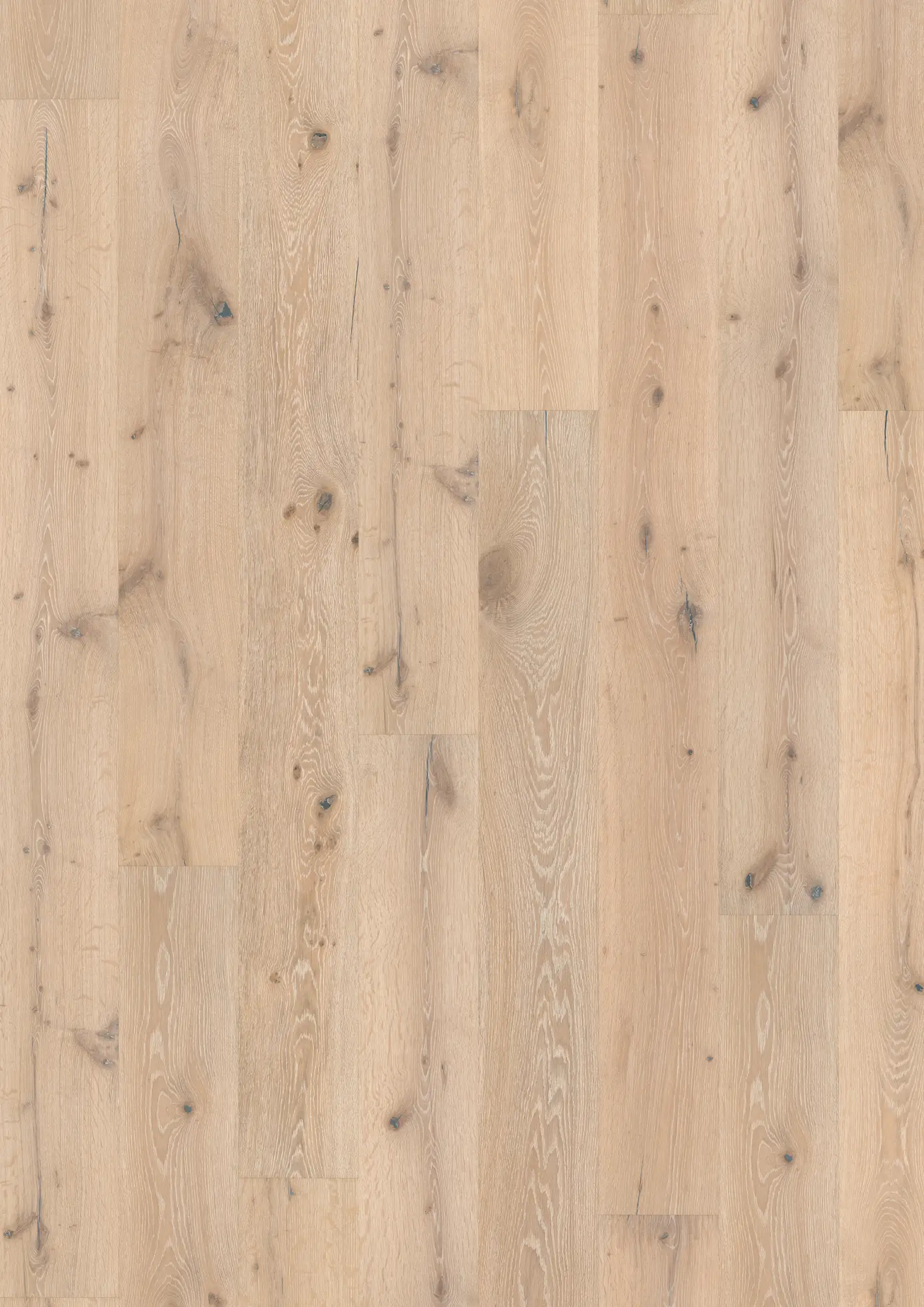 OAK ZEPHYR Prøver Kährs