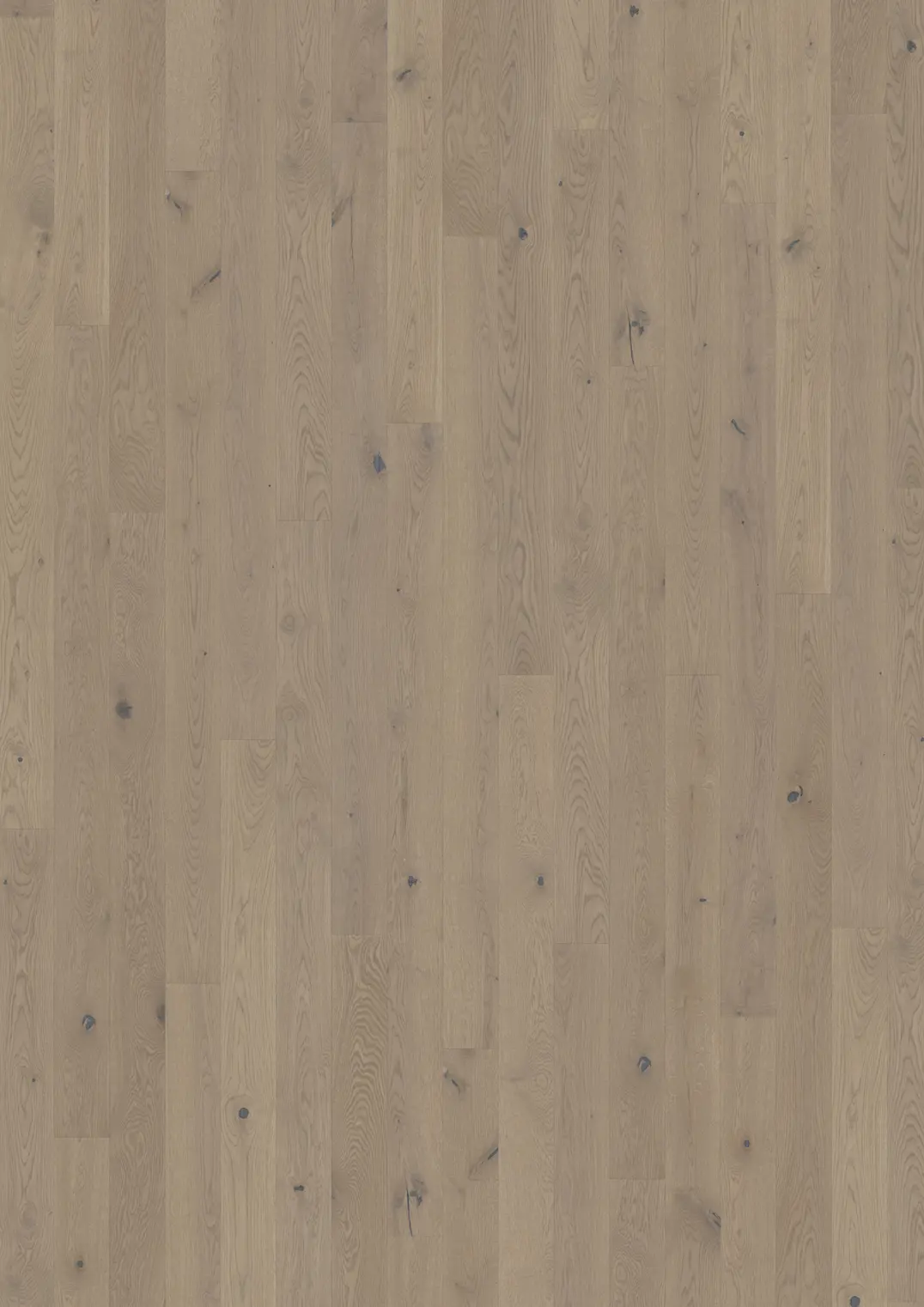 OAK PRATICA MATTE