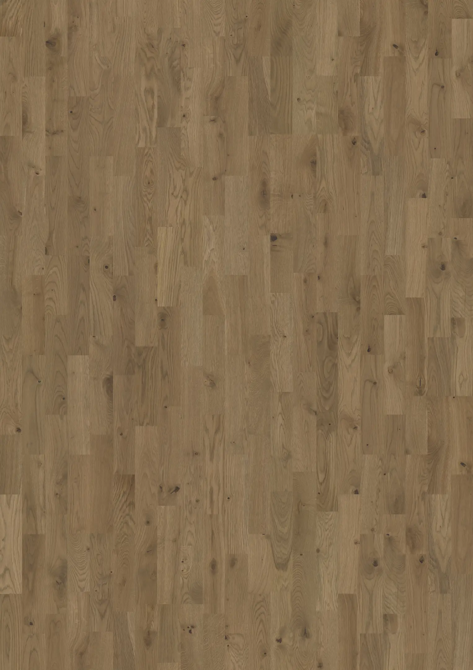 OAK ORE Samples Kährs