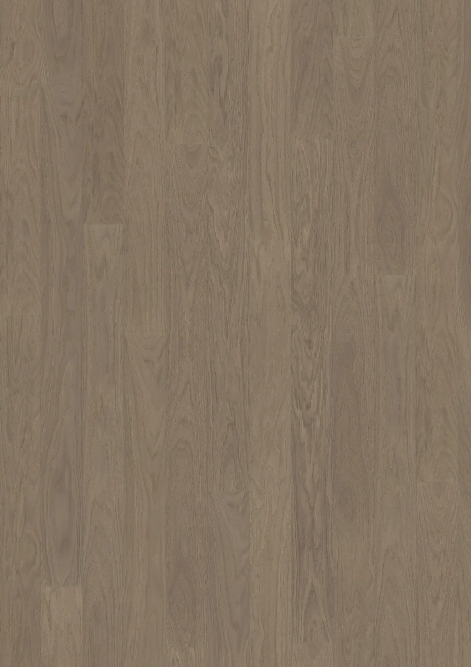 EARL GREY WIDE Floors Kährs