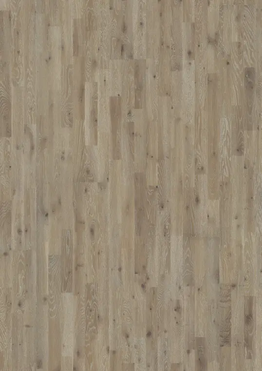 OAK VINGA