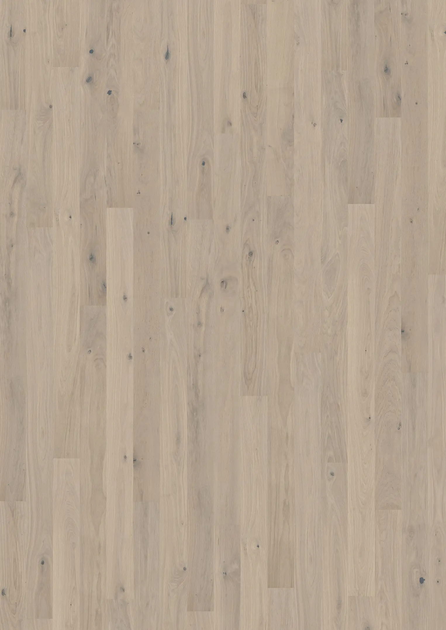 OAK MOSTRA MATTE Floors Kährs