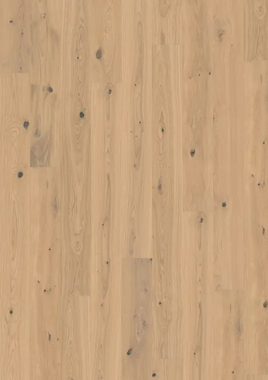 OAK TURMERIC PLANK