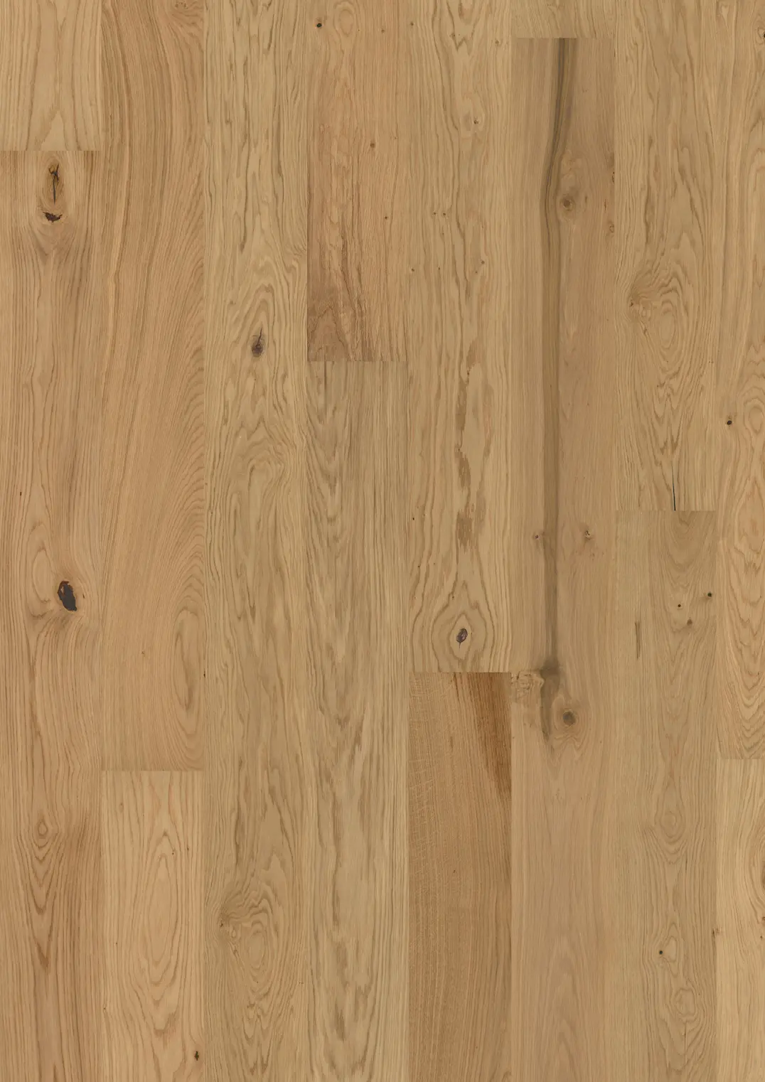 OAK ASTER MATT